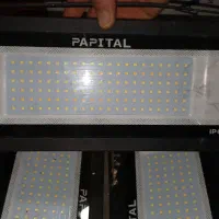پروژکتور پاپیتال وzpR