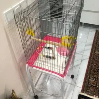 قفس عروس هلندی