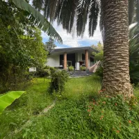 شهرک برجاده اصلی/صلاح‌الدین‌کلا