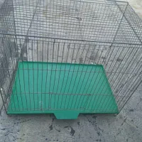 قفس پرنده