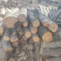 چوب بری وچوب فروشی سید حسین|عمدهفروشی|ملکآباد, |دیوار