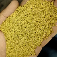 بذر قره یونجه بوجاری شده