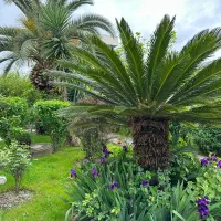 زوج برای نگهداری از سالمند و خدمات در مازندران