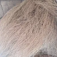 جارو|جاروبرقی، جارو شارژی، بخارشو|گوآور, |دیوار
