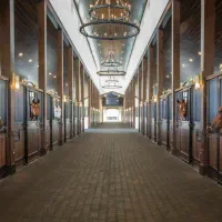 فروش-اسطبل