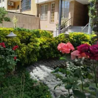 شرکت خدماتی ثبت شده