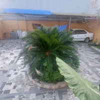 اپارتمان-92متری-کاراموزی-خیابان-22بهمن