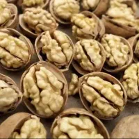 گردو مجلسی و لوکس