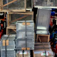 تله زنده گیر موش و گربه