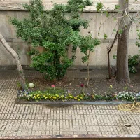 250-مترگاراژ-مناسب-کارواش-وتعویض-روغن-حامدطلوع