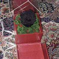 گل جاویدان،دوتا کیف زنانه ودخترانه|کیف، کفش، کمربند|ری, شهرری|دیوار