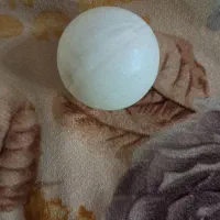 دسته لوکی ۲ ستاره به همراه کیف و توپ|ورزش‌های توپی|تهران, جوادیه|دیوار