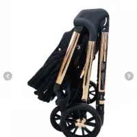 کالسکه و کریر colar آلمان|کالسکه و لوازم جانبی|یزد, |دیوار