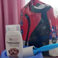 وسایل گربه|گربه|رشت, ترمینال|دیوار