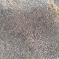 فروش کود گوسفندی