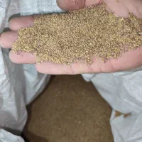 بذر یونجه