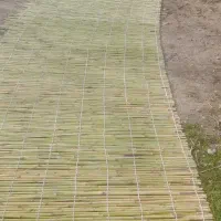 حصیر نی|عمده‌فروشی|سنگدوین, |دیوار