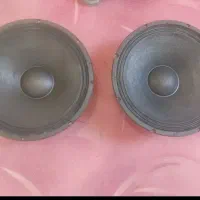ووفر باند بلندگو تیوتر اکو میکسر میدرنج ساب