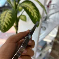 Iphone 13 promax|موبایل|آبادان, |دیوار