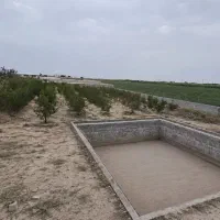 باغچه-فروشی