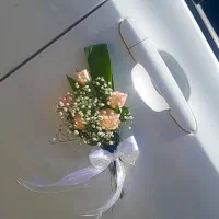 گل ارایی ماشین عروس دسته گل عروس درب منزل شما|خدمات پذیرایی، مراسم|مشهد, مصلی (کارمندان اول)|دیوار