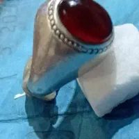 یمنی کهنه|بدلیجات|مشهد, محمدآباد|دیوار
