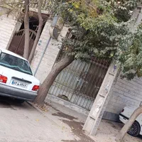 در مورد کار پخش مواد غذایی مشورت می‌خوام