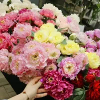 گل باکیفیت اروپایی