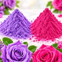 رنگ سرخابی و بنفش گلهای طبیعی