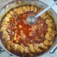 تهیه غذای ارزان و با کیفیت آشپزخانه ضیافت|خدمات پذیرایی، مراسم|قم, علی آباد سعدگان|دیوار