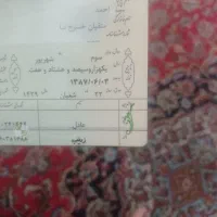 شناسنامه پیدا شده