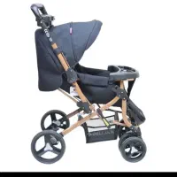 کالسکه کریر رورئک