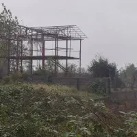 زمین ۷۵۰ متری با کاربری مسکونی|فروش زمین و ملک کلنگی|تالش, طولارود|دیوار