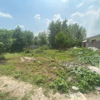 زمین-برای-فروش