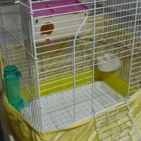 قفس پرنده با لوازم بزرگ و تمیز معاوضه با میکروفون