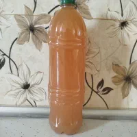 آبغوره محلی|خوردنی و آشامیدنی|تاکستان, |دیوار