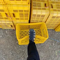 سبد حمال،۲۰کیلویی،کشمشی،گوجه،پلاستیکی|عمده‌فروشی|تهران, دولتخواه جنوبی|دیوار