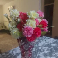 گل وگلدان|گل مصنوعی|بندرعباس, |دیوار