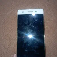 گوشی معاوضه با عروس هلندی