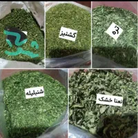 ماش سیاه و سبزی وادویه جات خوزستان|خوردنی و آشامیدنی|بروجن, |دیوار