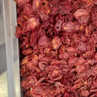 گوجه خشک عمده وفله‌ای باقیمت تولیدی-خرید بدون واسط|عمده‌فروشی|اصفهان, احمدآباد|دیوار