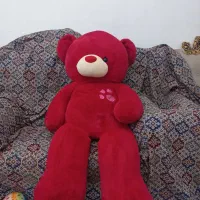 یک عدد خرس بزرگ سالم و نو