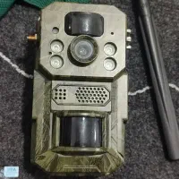 دوربین تله ایی