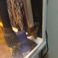 آکواریوم ماهی|ماهی|فولادشهر, B7|دیوار