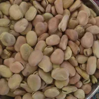 باقلا،باقالی،باقله