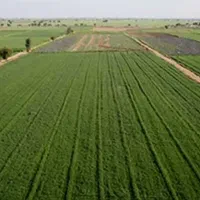 فروش زمین باغشهری