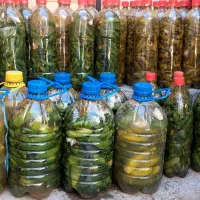 خیار شور ۱/۵ لیتری  و ۴ لیتری سوپر ویژه|خوردنی و آشامیدنی|سراب, |دیوار