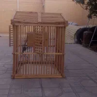 ققس‌ تمام چوبی بزرگ همراه با لونه|لوازم جانبی حیوانات|شیراز, شهرک گلستان|دیوار
