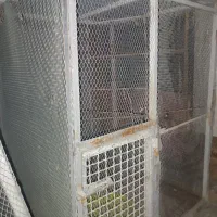 لانه پرنده با ابعاد یک ونیم در یک وبیست