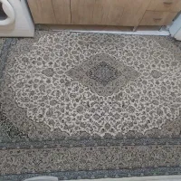 فرش 4*3|فرش|مشهد, رضاییه|دیوار